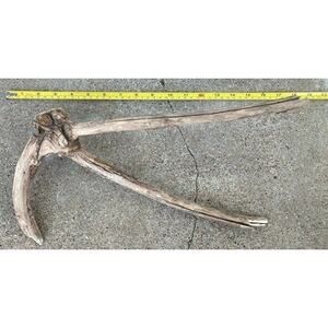 Ohio River Driftwood 15.25"x8"x3.25"